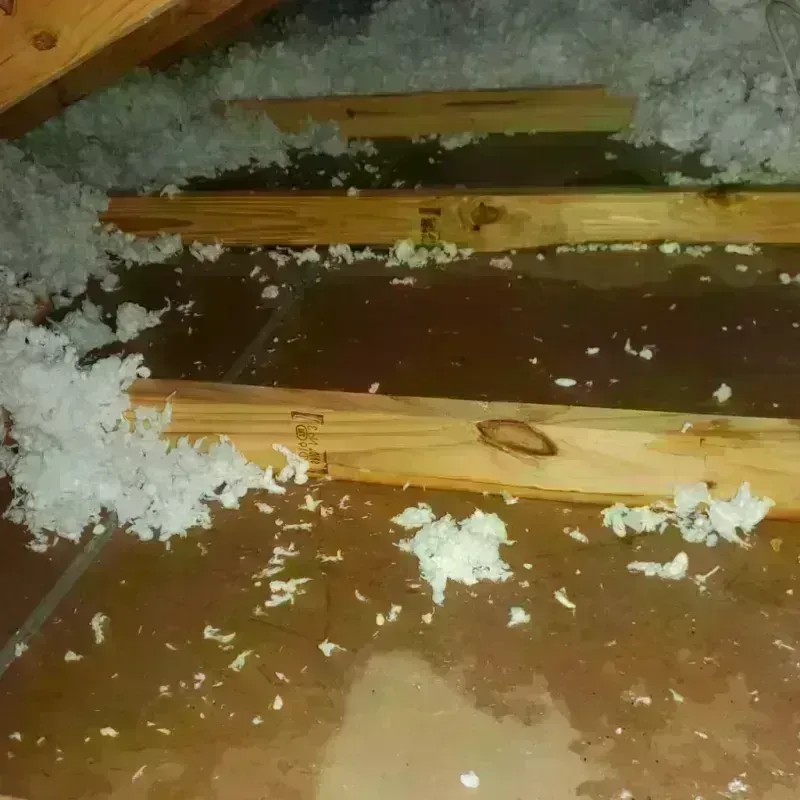 Attic Water Damage in Madera Acres, CA