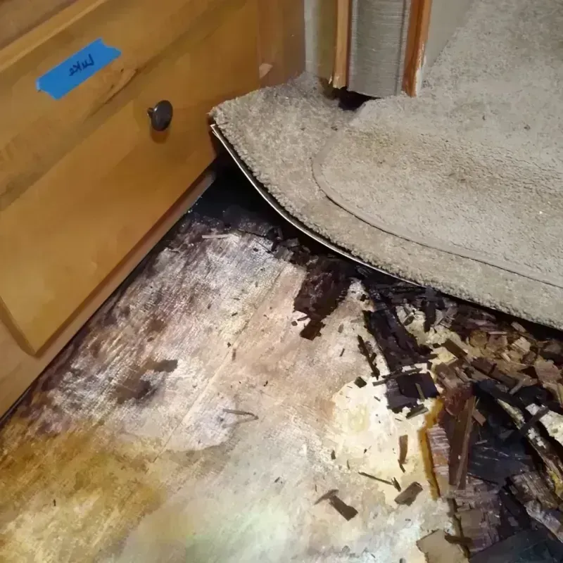 Wood Floor Water Damage in Madera Acres, CA